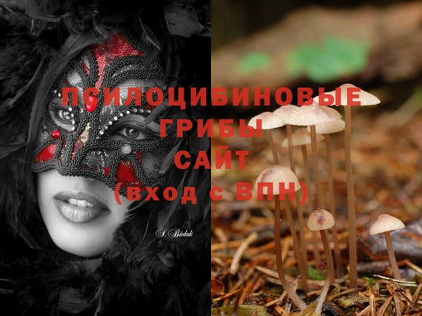 mix Алексин
