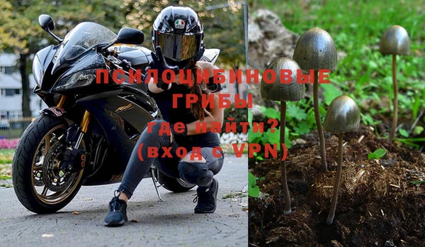 Альфа ПВП Алзамай