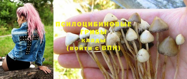 Альфа ПВП Алзамай