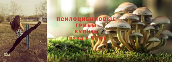 Альфа ПВП Алзамай